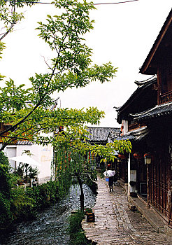 tổ chức đá gà