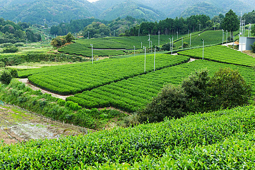 fun88 phiên bạn máy tính