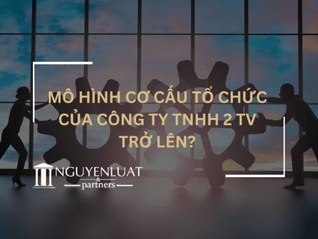 Mô hình cơ cấu tổ chức của Công ty TNHH 2 TV trở lên?