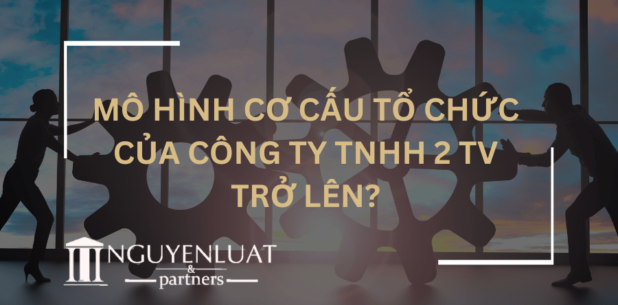 Mô hình cơ cấu tổ chức của Công ty TNHH 2 TV trở lên?