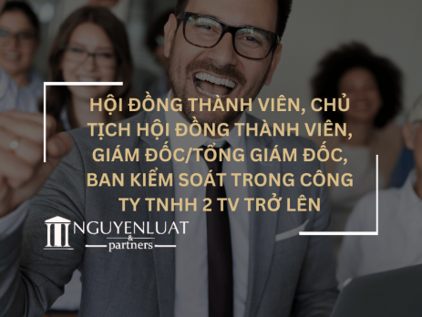 Hội đồng thành viên, chủ tịch hội đồng thành viên, giám đốc/tổng giám đốc, ban kiểm soát trong Công ty TNHH 2 TV trở lên