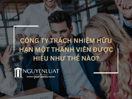 Công ty trách nhiệm hữu hạn một thành viên được hiểu như thế nào?