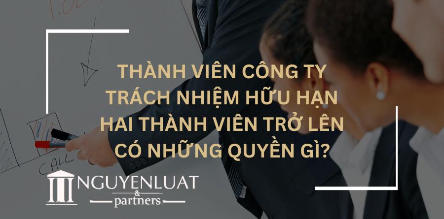 Thành viên công ty trách nhiệm hữu hạn hai thành viên trở lên có những quyền gì?