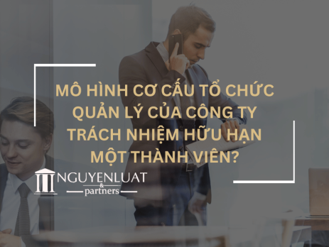 Mô hình cơ cấu tổ chức quản lý của Công ty trách nhiệm hữu hạn một thành viên?