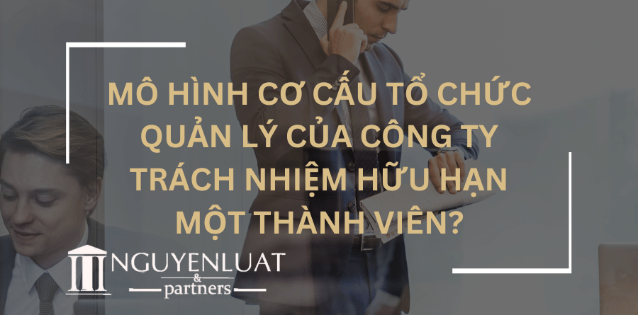 Mô hình cơ cấu tổ chức quản lý của Công ty trách nhiệm hữu hạn một thành viên?