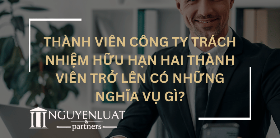 Thành viên công ty trách nhiệm hữu hạn hai thành viên trở lên có những nghĩa vụ gì?