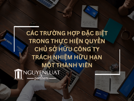 Các trường hợp đặc biệt trong thực hiện quyền chủ sở hữu công ty trách nhiệm hữu hạn một thành viên