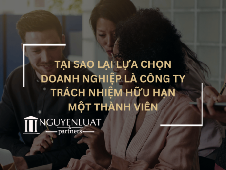 Tại sao lại lựa chọn doanh nghiệp là công ty trách nhiệm hữu hạn một thành viên