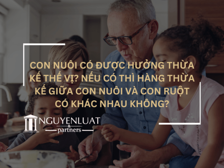 Con nuôi có được hưởng thừa kế thế vị? Nếu có thì hàng thừa kế giữa con nuôi và con ruột có khác nhau không?