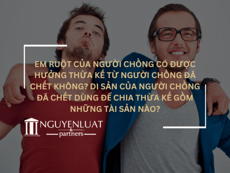 Em ruột của người chồng có được hưởng thừa kế từ người chồng đã chết không? Di sản của người chồng đã chết dùng để chia thừa kế gồm những tài sản nào?