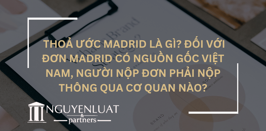 Thoả ước Madrid là gì? Đối với Đơn Madrid có nguồn gốc Việt Nam, người nộp đơn phải nộp thông qua cơ quan nào?