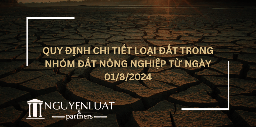 Quy định chi tiết loại đất trong nhóm đất nông nghiệp từ ngày 01/8/2024