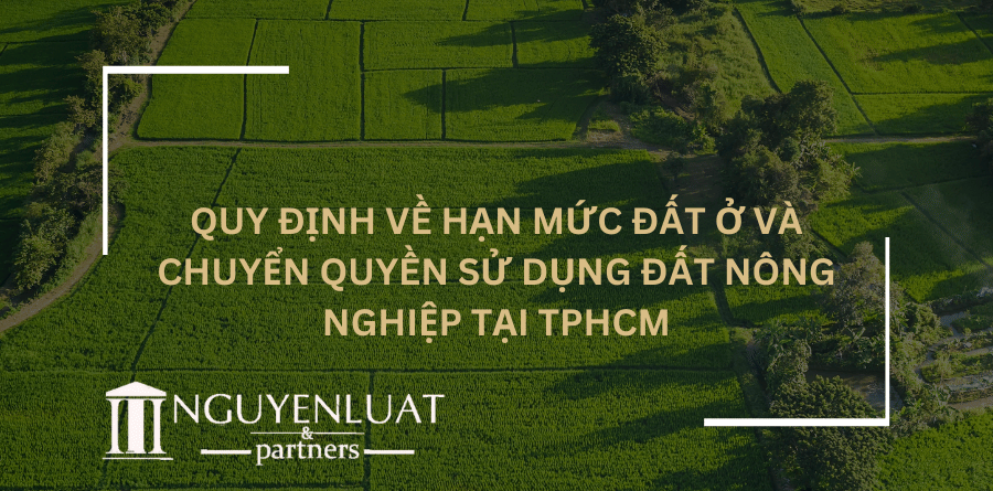 Quy định về hạn mức đất ở và chuyển quyền sử dụng đất nông nghiệp tại TPHCM